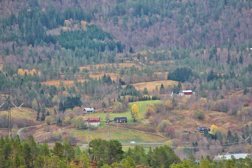 Løkkhuset til venstre, med Håven bak. Lyngheim bak til høye, Skoglund foran. Fagerheim fremst i bildet til venstre, og taka på Lillemo til høyre. Skogen skytterbane øverst.