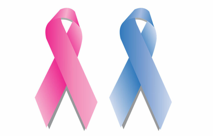 En rosa og en blå sløyfe av den typen som symboliserer brystkreft og prostatakreft