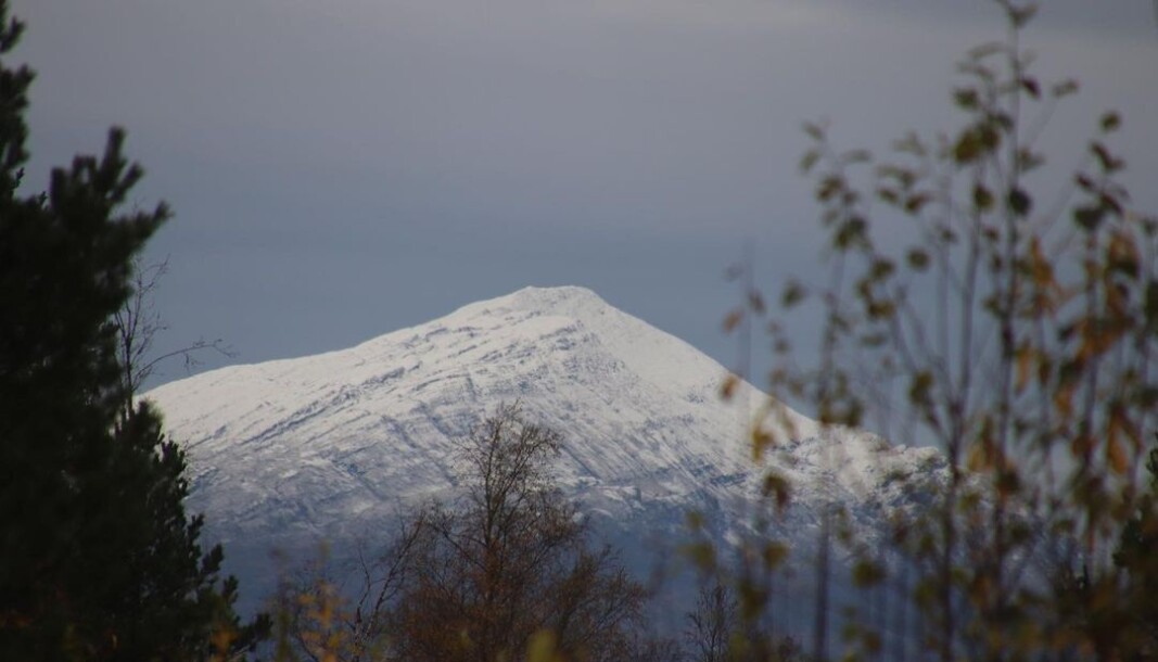 ❄️Den første snøen❄️ #honnstadknyken ❄️Den første snøen❄️ #honnstadknyken