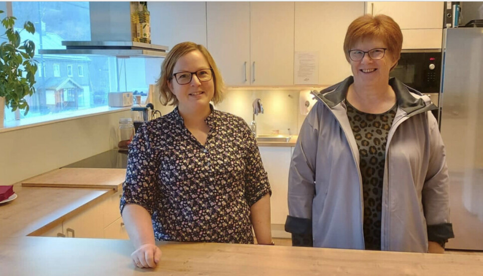 Lemsekurs på Surnadal Frivilligsentral