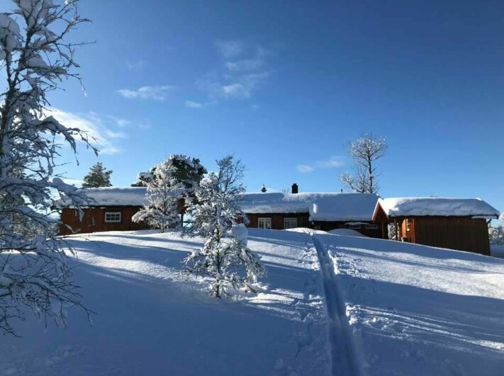 Slik så det ut da Helge Gudmundsen avsluttet sitt bok - prosjekt på hytta i Romundstadbygda.