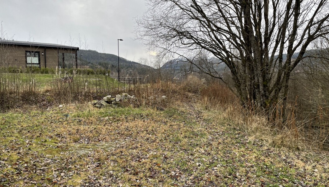 Her ser vi det stykket der det skal lages vei, fra enden på veien til campingplassen og opp mot den kommunale grusveien. Her ser vi det stykket der det skal lages vei, fra enden på veien til campingplassen og opp mot den kommunale grusveien.