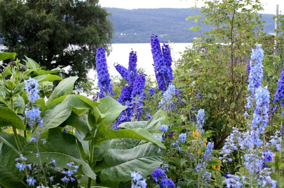 Surnadal hagelag inviterer til medlemsmøte