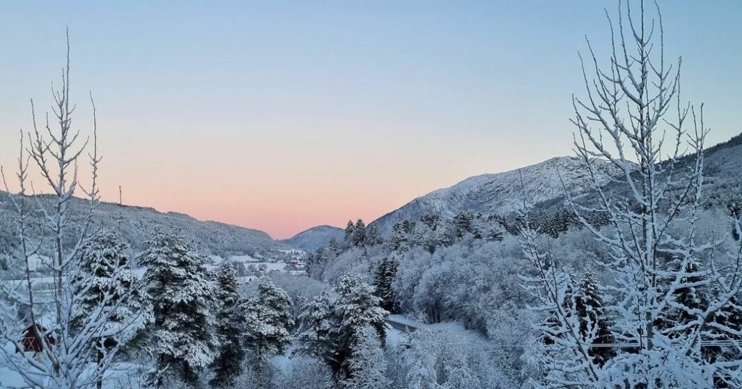 ❄ V I N T E R ❄ ❄ V I N T E R ❄