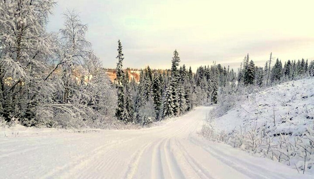 Skogsbilveg Helgetunmarka Skogsbilveg Helgetunmarka