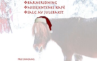 Jul i Oppsitua Torvik