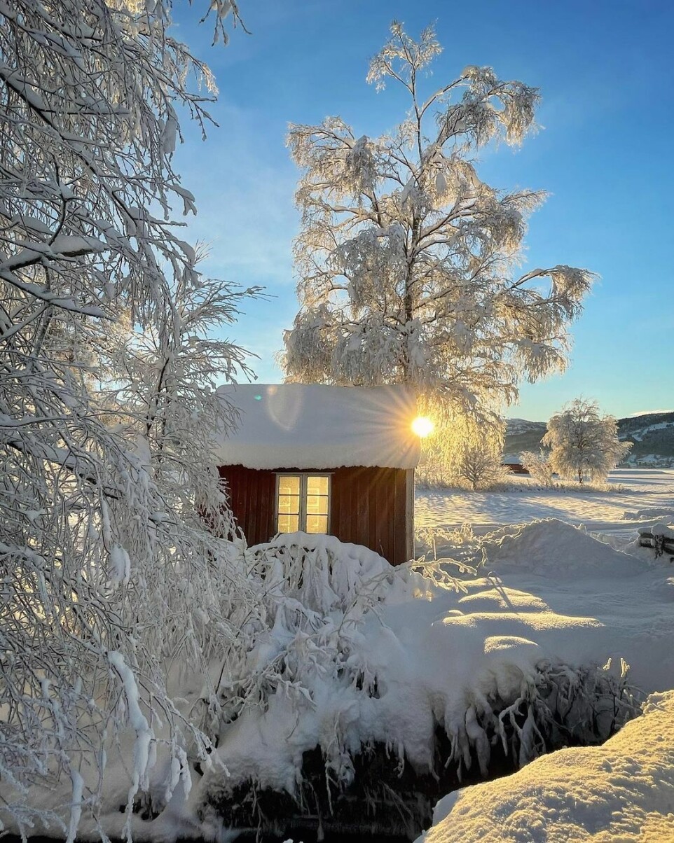 Dagens stemningsrapport fra nærområdet 😊. En helt nydelig desemberdag 👍