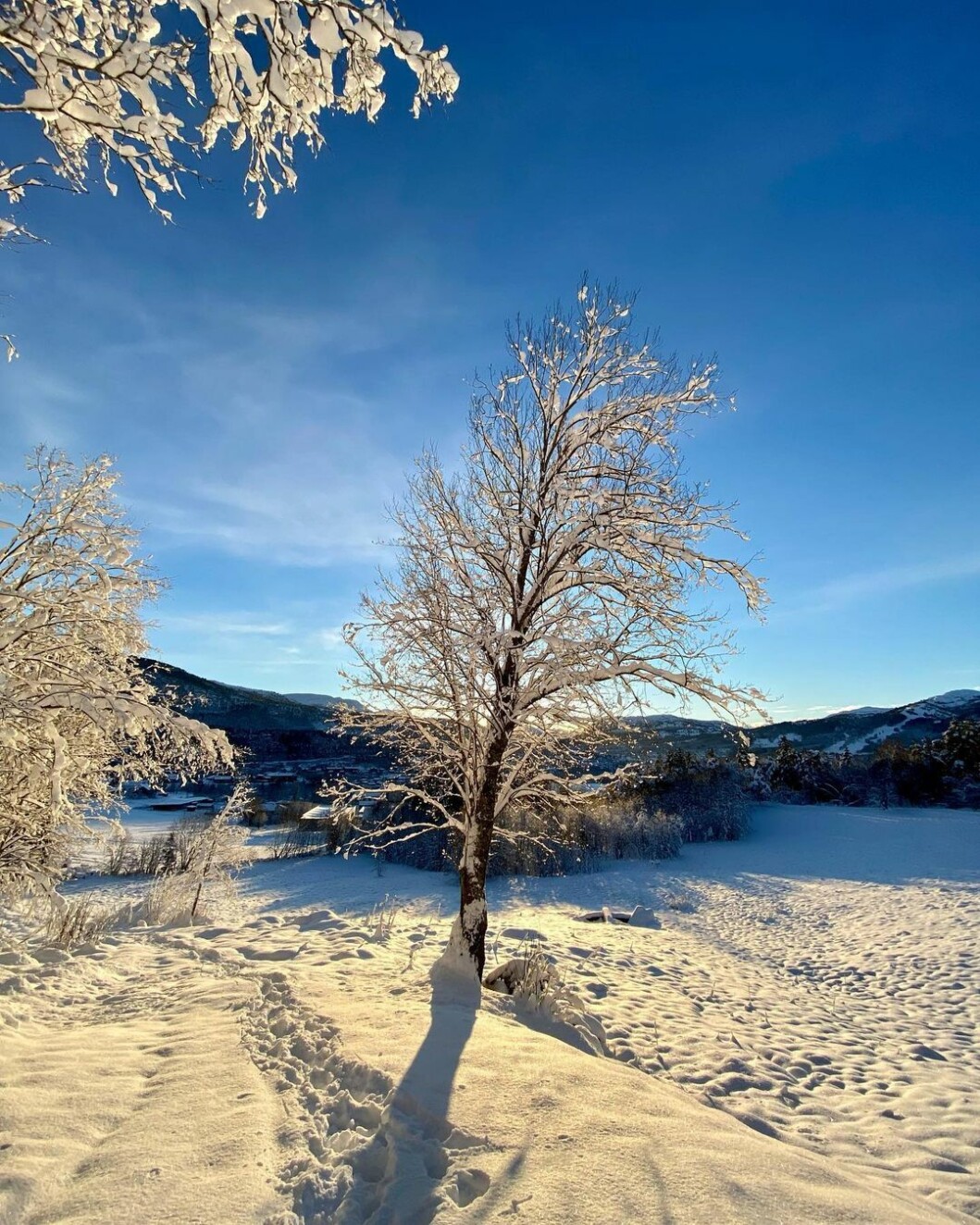 Fin tur opp til Heståsen 🤩❄️☀️ Fin tur opp til Heståsen 🤩❄️☀️