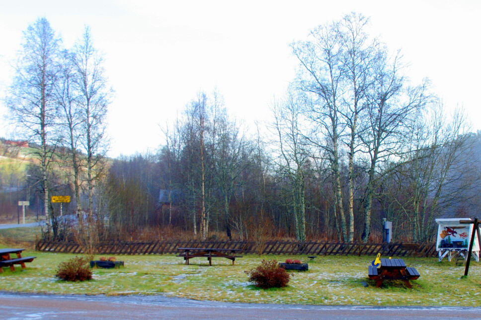 17. desember