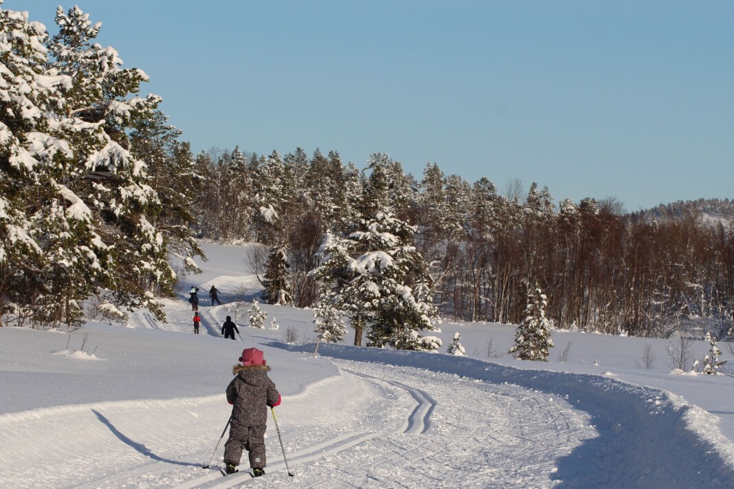 Furuhaugmarka Furuhaugmarka