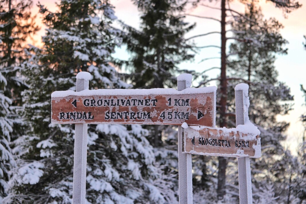 Furuhaugmarka Furuhaugmarka