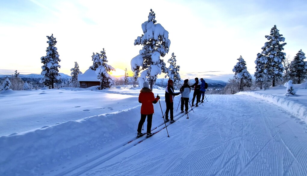 Ved Skihytta i Furuhaugmarka Ved Skihytta i Furuhaugmarka