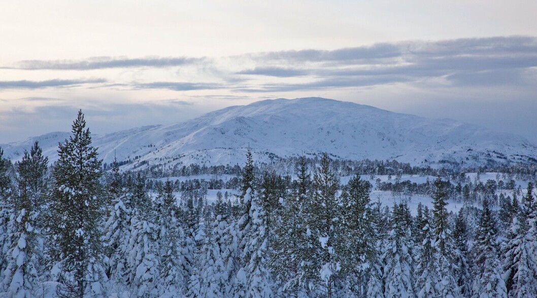 Utsikt til Sandfjellet i Surnadal. Utsikt til Sandfjellet i Surnadal.