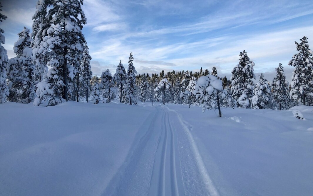Åsan 1.1.21 Åsan 1.1.21