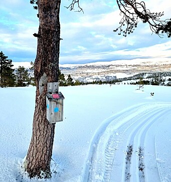 Grøsetmarka 2.01.21. Grøsetmarka 2.01.21.