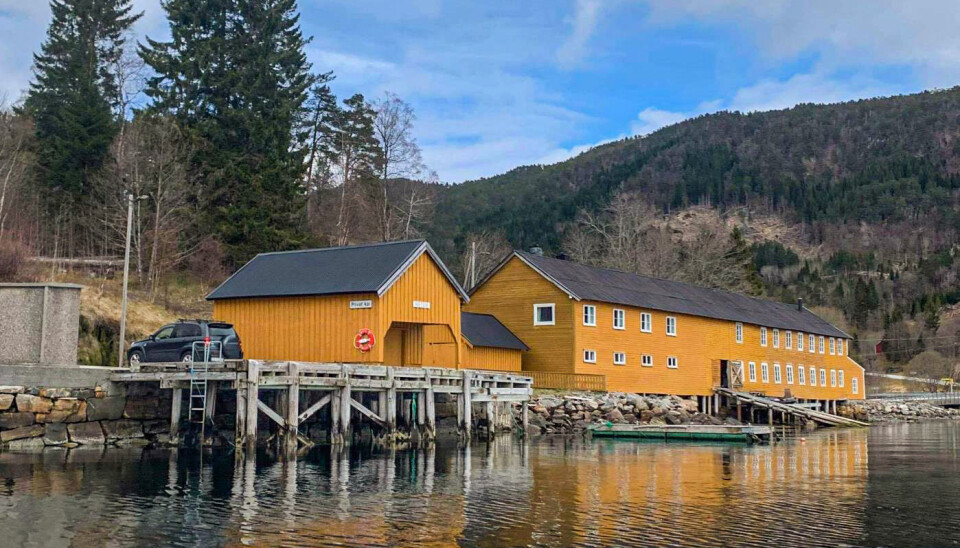 Kaianlegget i Arasvika i Aure fikk tilsagn på 50.000 kroner fra Kulturminnefondet i fjor .