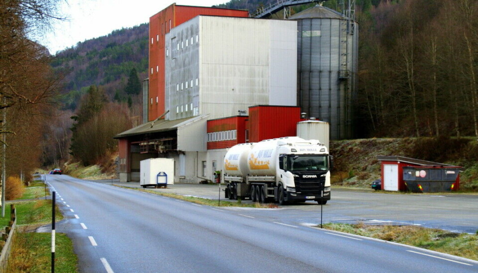 Stor interesse for gang- og sykkelveg i Surnadal
