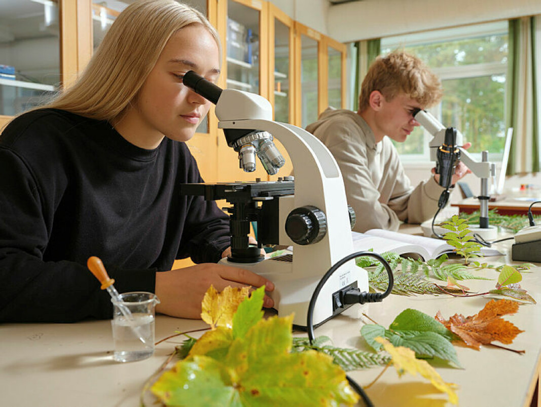 Illustrasjonsbilde frå Surnadal vidaregåande skole Illustrasjonsbilde frå Surnadal vidaregåande skole