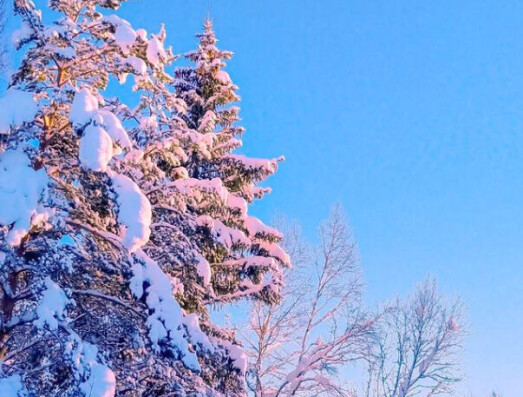 God morgen 26. januar God morgen 26. januar