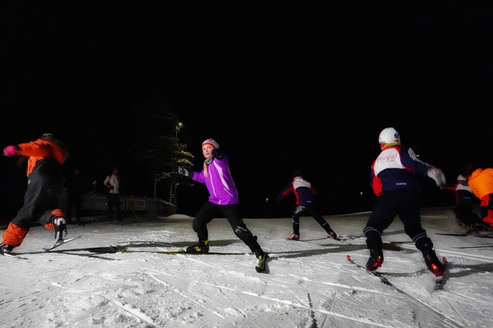 Ildri Grytbakk Heggem er hauk og prøver å fange duene på Igltjønna Skistadion.
