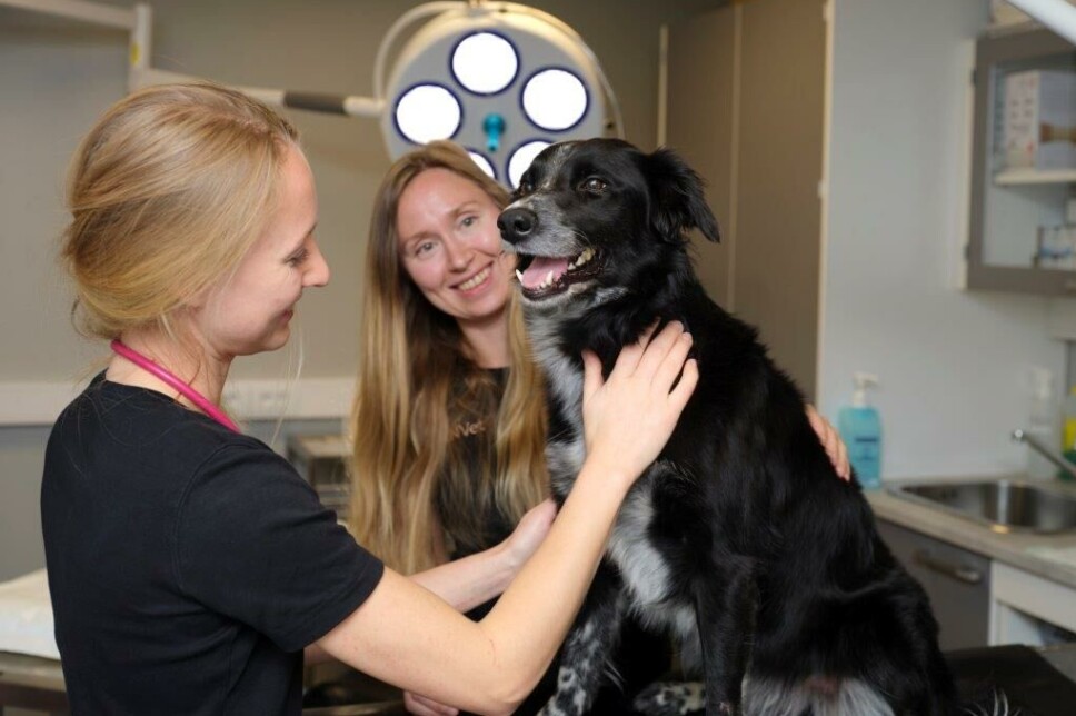 Karoline Reitan og Carita Leirivaara.