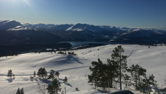 Strengentraseen 16.02 Strengentraseen 16.02