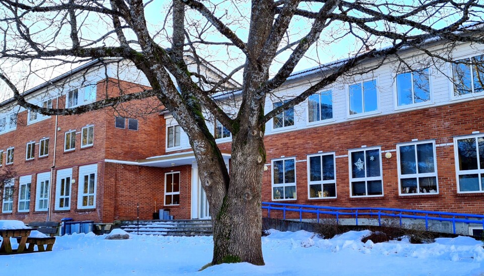 Skal vare heile livet