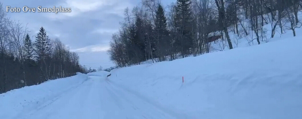 Ove Smedplass kom over dette rådyret ved Frilsjøen på Løkken. Ove Smedplass kom over dette rådyret ved Frilsjøen på Løkken.