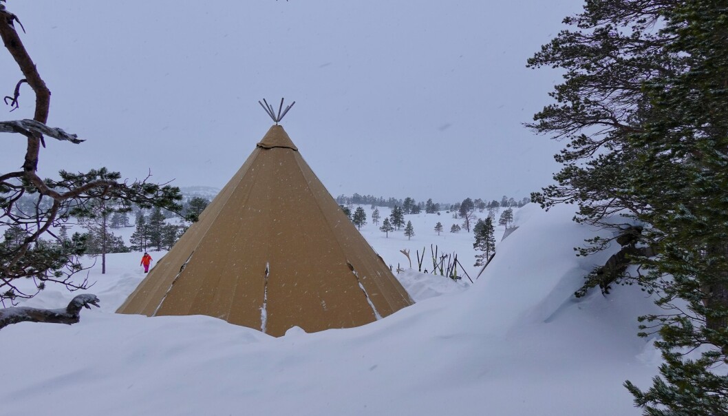 Det er i allefall nok snø i vinterferien i år. Til høyre for lavvoen er servicebygget så vidt synlig. Åse Børset er på vei inn i lavvoen etter å ha gjemt postene som campdeltakeren skal finne ved hjelp av kart og kompass. Det er i allefall nok snø i vinterferien i år. Til høyre for lavvoen er servicebygget så vidt synlig. Åse Børset er på vei inn i lavvoen etter å ha gjemt postene som campdeltakeren skal finne ved hjelp av kart og kompass.