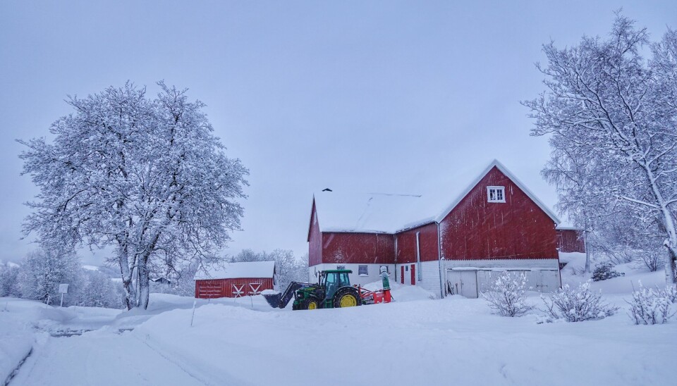 Kjekt å ha sin egen traktor selv om fjøset er tomt for dyr. Asbjørn Kjelås holder gårdsplassen åpen.