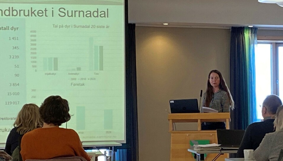 Elin Moen Lysø presenterte tallene for Formannskapet i Surnadal