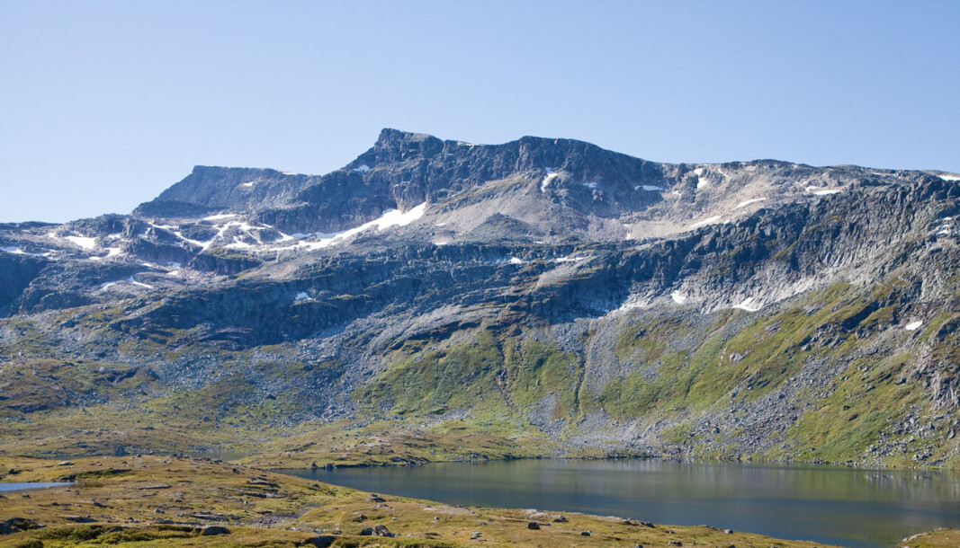 Snota (i sommerdrakt) Snota (i sommerdrakt)