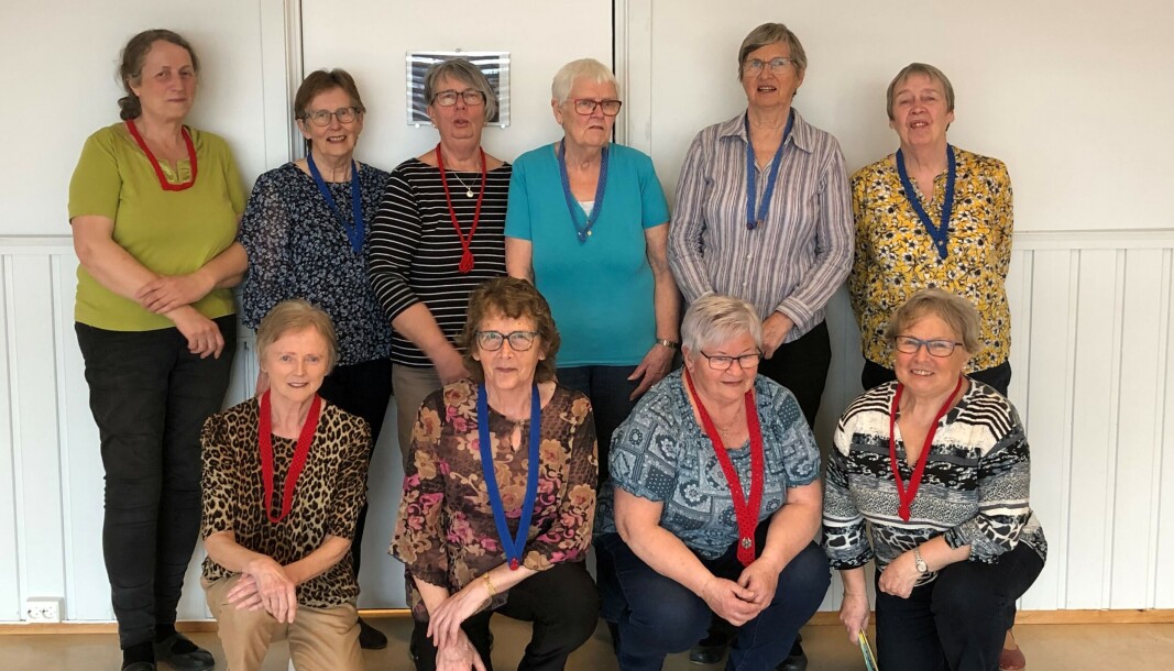 Kristine Ree, Kjellaug Foseide, Tordis Sveen, Ingeborg Landsem, Grete Sognnæs, Marit Kvam Bolme, Anne Lise Forsberg, Else Elshaug, Lisbet Stenbro og Annlaug Lie ønsker flere seniordansere velkommen. Kristine Ree, Kjellaug Foseide, Tordis Sveen, Ingeborg Landsem, Grete Sognnæs, Marit Kvam Bolme, Anne Lise Forsberg, Else Elshaug, Lisbet Stenbro og Annlaug Lie ønsker flere seniordansere velkommen.