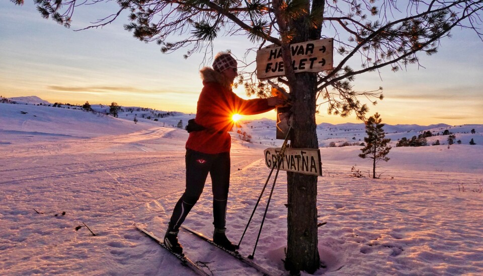 En skiløper som har stopet ved et tre for å registrere seg på turmålet.