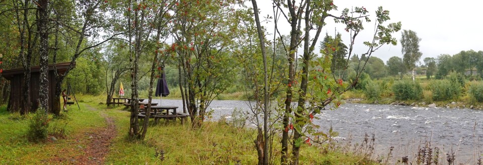 Elvepromendaden Bolme Trimpoeng