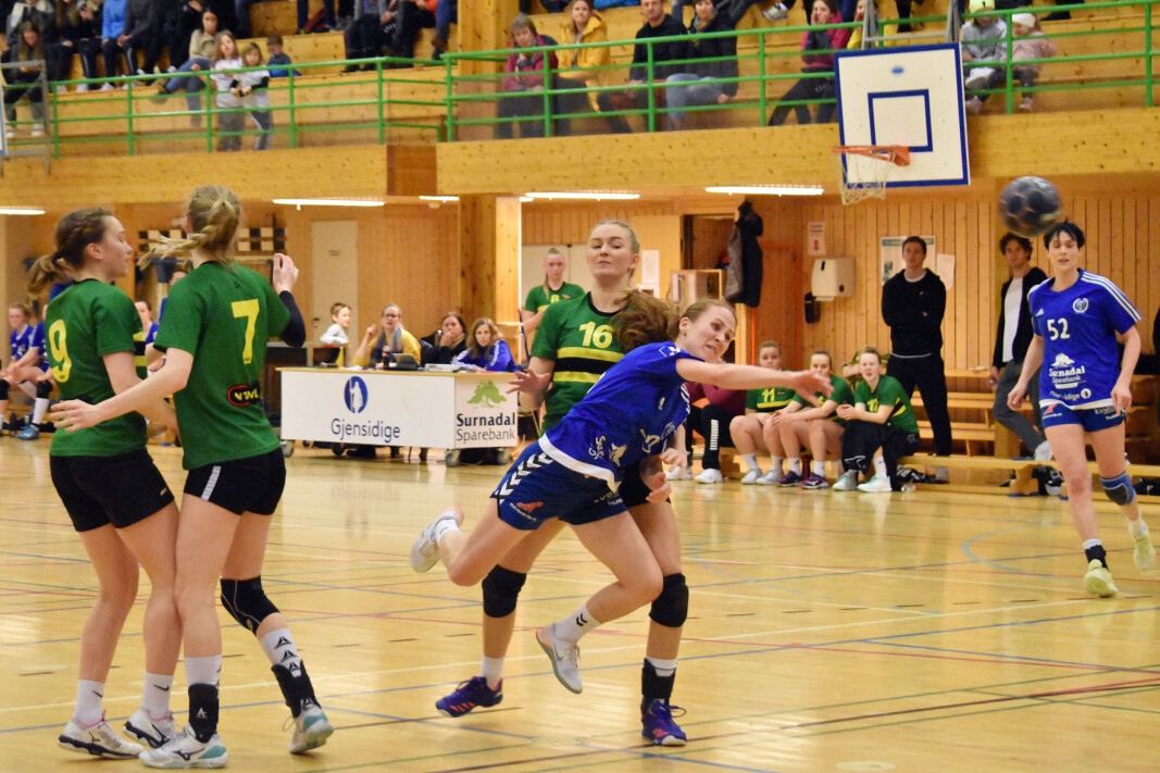 Hildegunn Henden Dalsegg scoret 8 mål mot Flatås (arkivbilde) Hildegunn Henden Dalsegg scoret 8 mål mot Flatås (arkivbilde)
