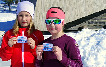 Var det Troll i Trollheimstunet? Var det Troll i Trollheimstunet?