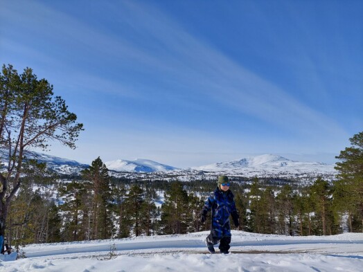 Endre i front, Bolmtrollhøtta og Rinnhatten bak. Endre i front, Bolmtrollhøtta og Rinnhatten bak.