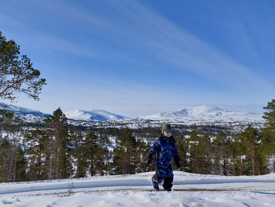 Endre i front, Bolmtrollhøtta og Rinnhatten bak.