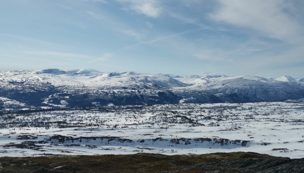Trollheimen - sett fra Tørsetmarka! Trollheimen - sett fra Tørsetmarka!