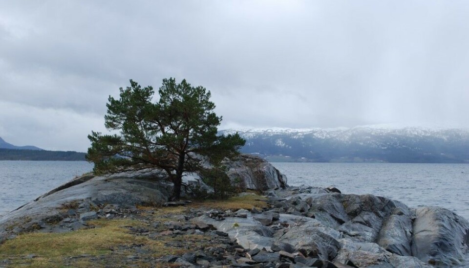 Her kan man sole seg fra svabergene. Men i dag var det lite aktuelt. Her kan man sole seg fra svabergene. Men i dag var det lite aktuelt.