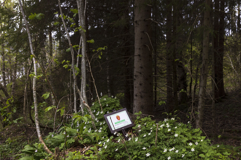 Naturreservat.