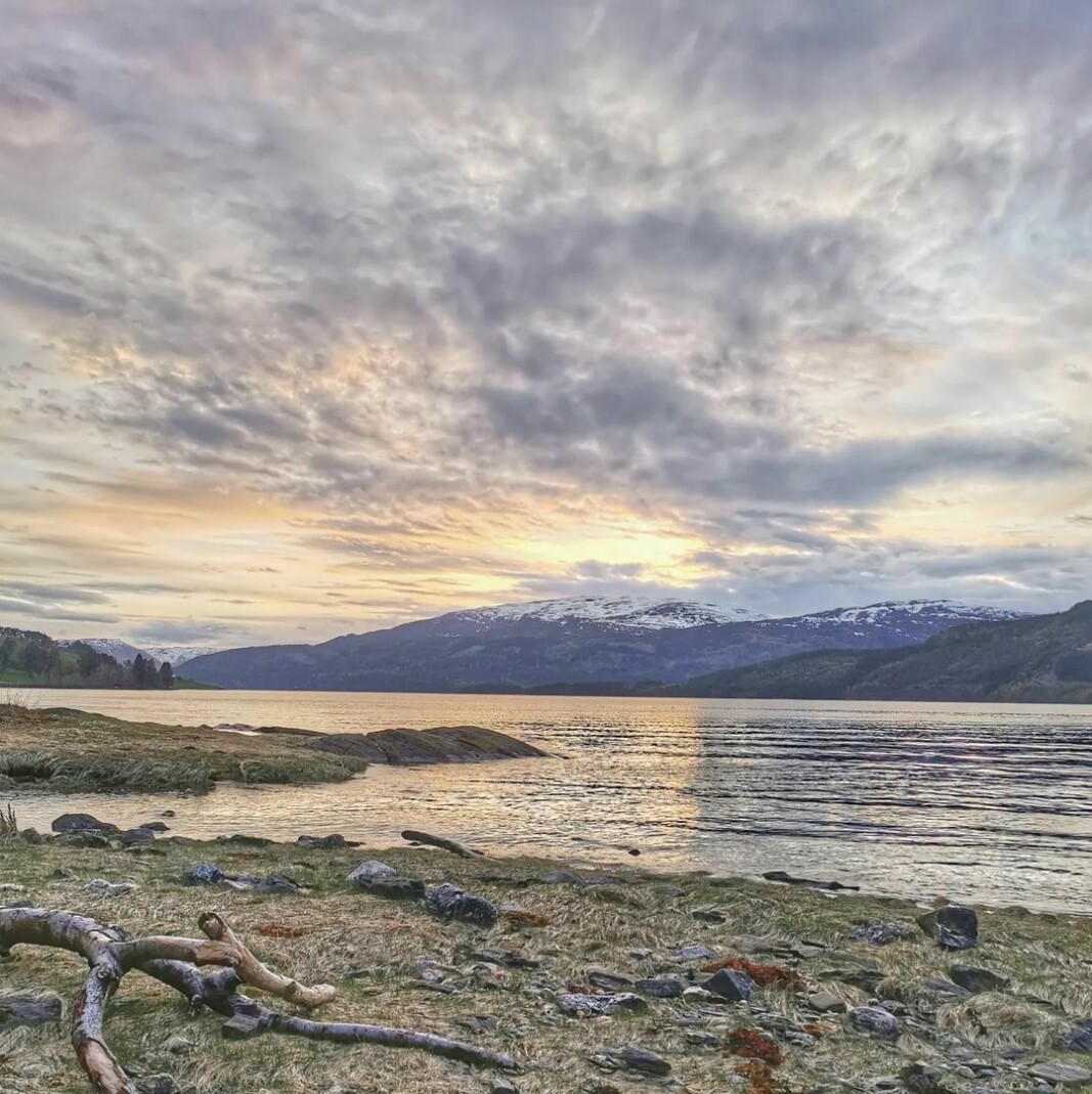 Vårkveld ved fjorden Vårkveld ved fjorden