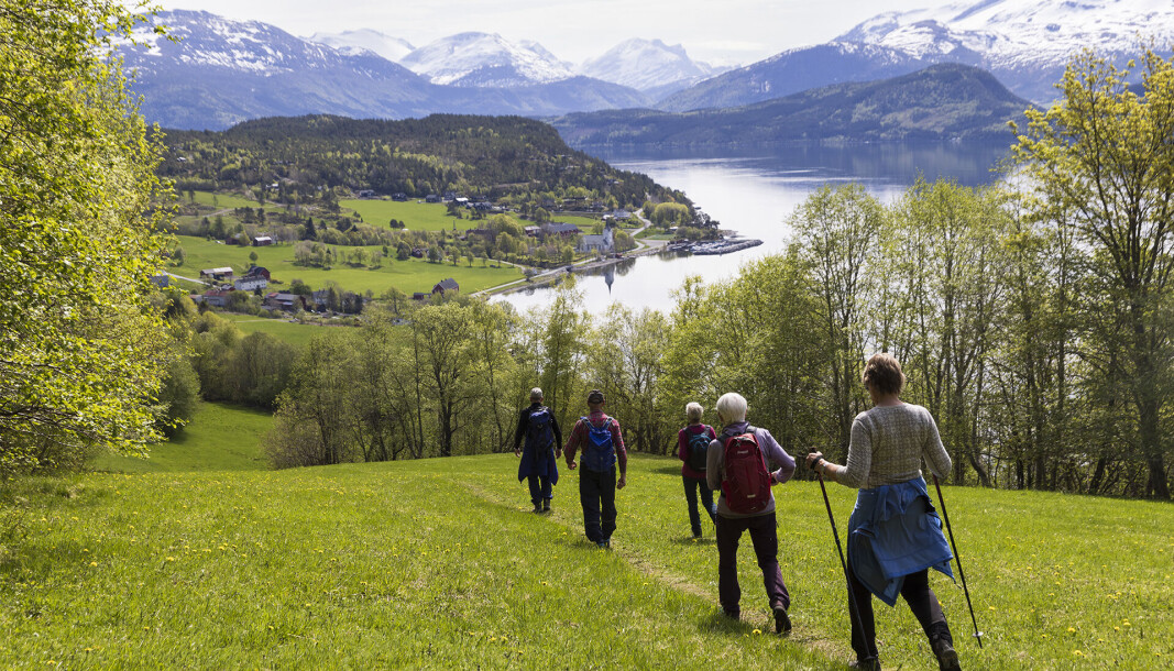 Snart nede att ved Stangvikfjorden. Snart nede att ved Stangvikfjorden.