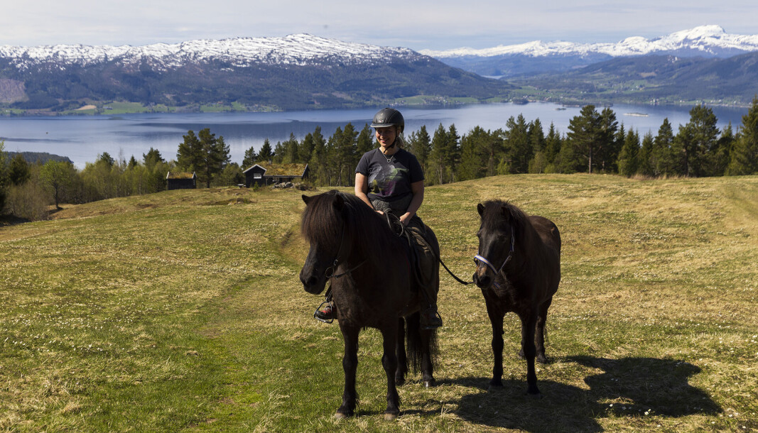 Triveleg besøk på Storsetra Nedafor ligg Skaråkersetra. Triveleg besøk på Storsetra Nedafor ligg Skaråkersetra.