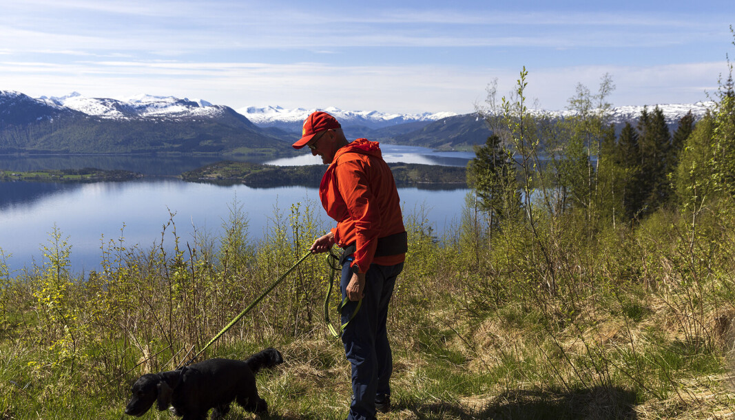 Glad hund på tur. Glad hund på tur.