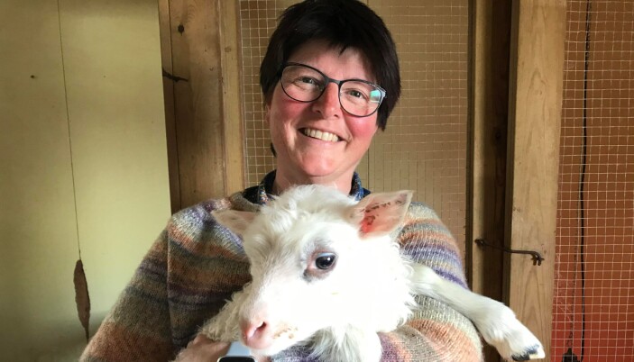 Elisabet trivst godt i Halgunsetgrenda, der ho og mannen driv med sau i tillegg til anna arbeid. - Her hjelper vi kvarandre, folk er rause, seier Elisabet. Elisabet trivst godt i Halgunsetgrenda, der ho og mannen driv med sau i tillegg til anna arbeid. - Her hjelper vi kvarandre, folk er rause, seier Elisabet.
