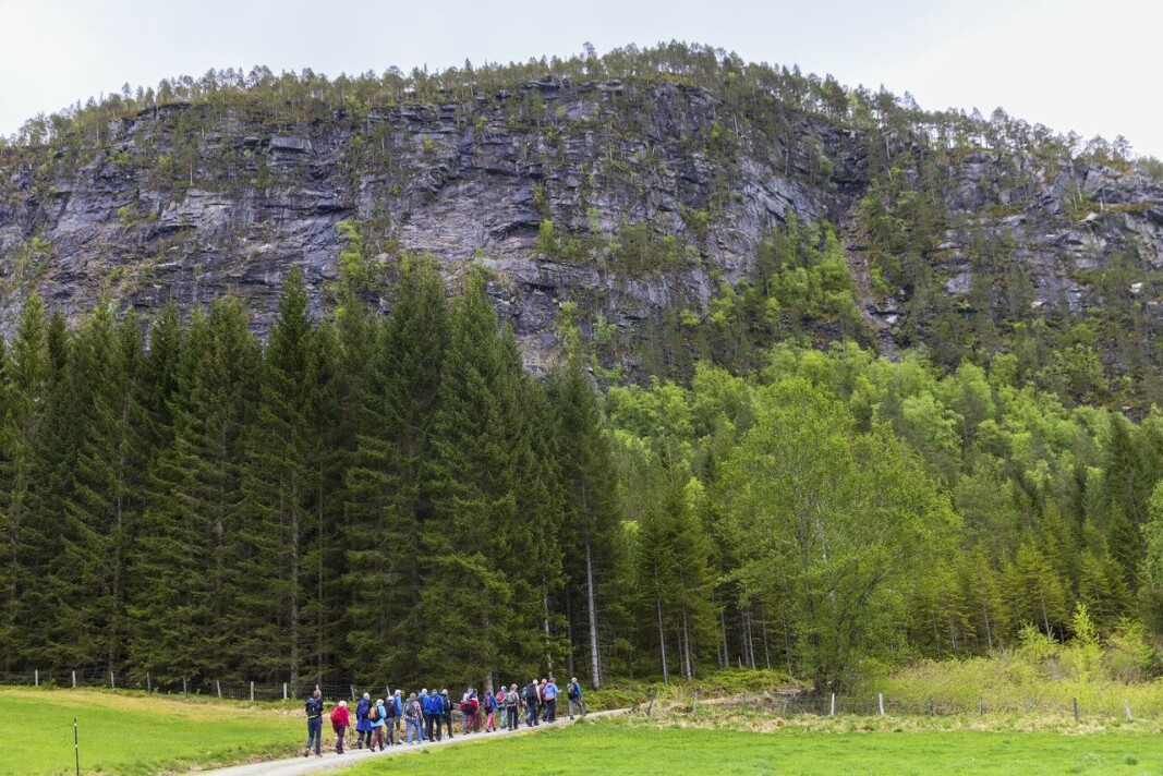 Opp fra Todalshytta mot Storhaugen. Opp fra Todalshytta mot Storhaugen.