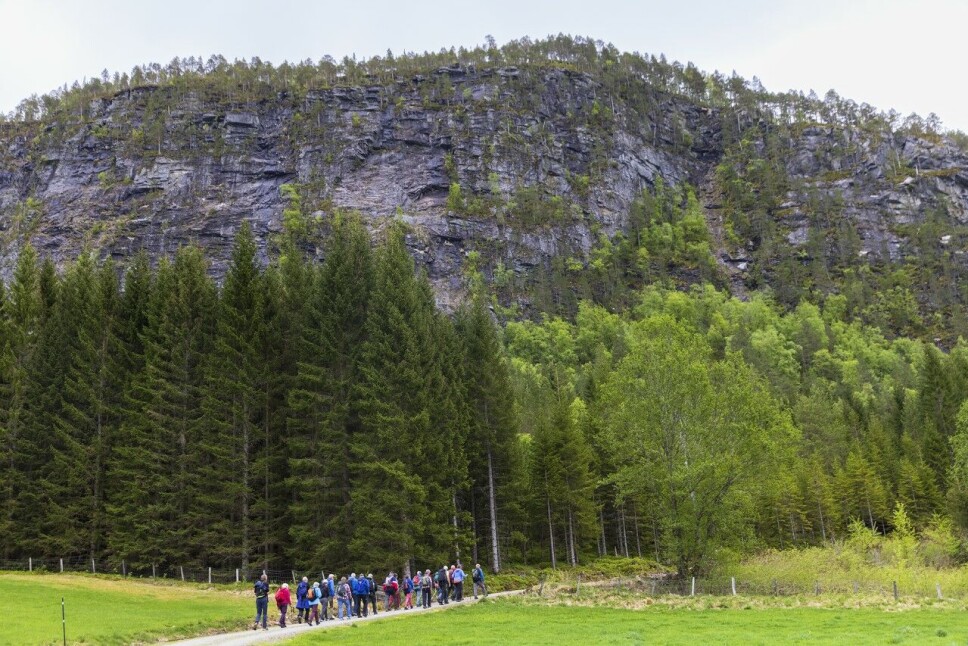 Opp fra Todalshytta mot Storhaugen.