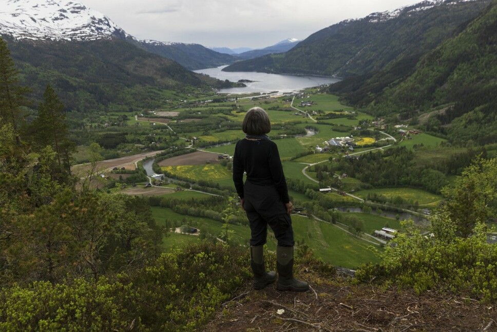Utsyn over vakre Todalen.